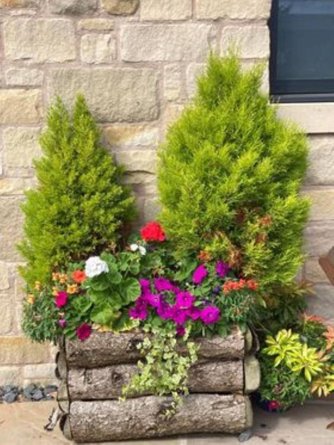Bed and Breakfast The Masons Arms Norham Esterno foto